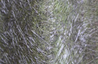 Low Coylton fibreglass roof work